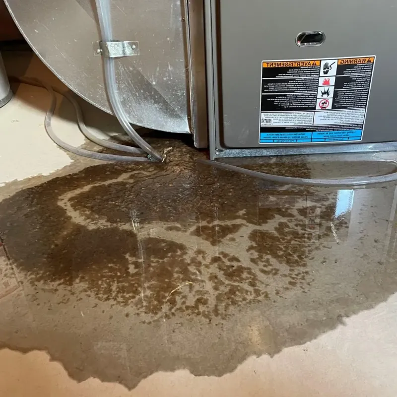 Pipe Burst and Leak Restoration in Adams County, IA