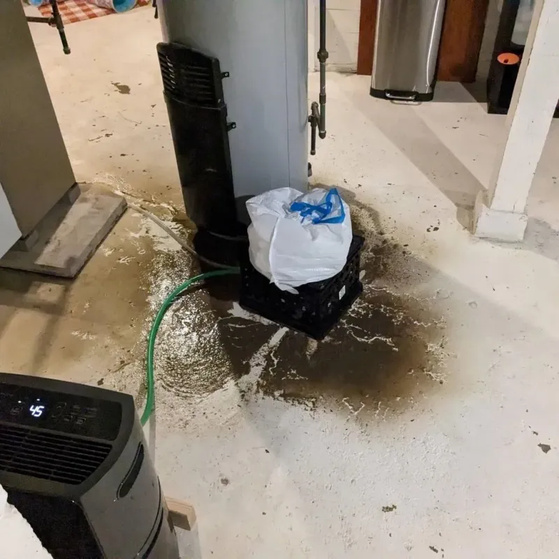 Sewage Backup Cleanup Service in Adams County, IA